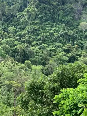Land for Sale in Ella