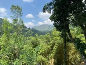Land for Sale in Ella