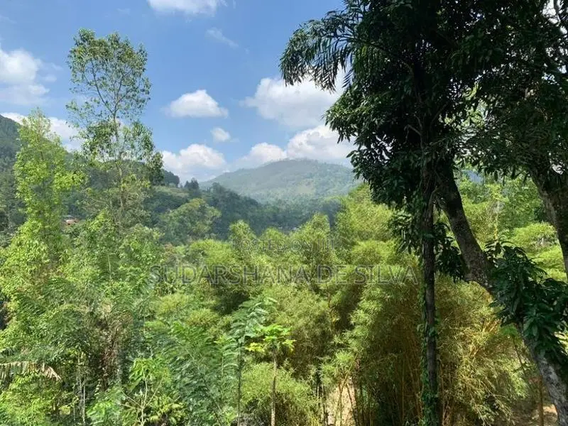 Land for Sale in Ella