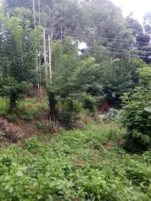 Land for Sale in Ella