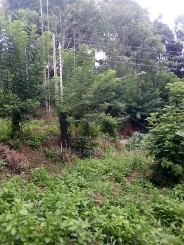 Land for Sale in Ella