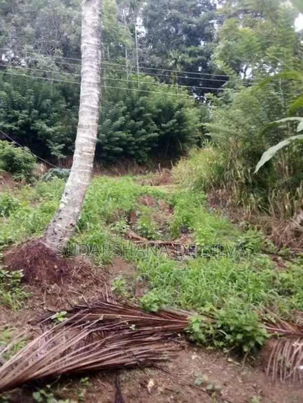 Land for Sale in Ella