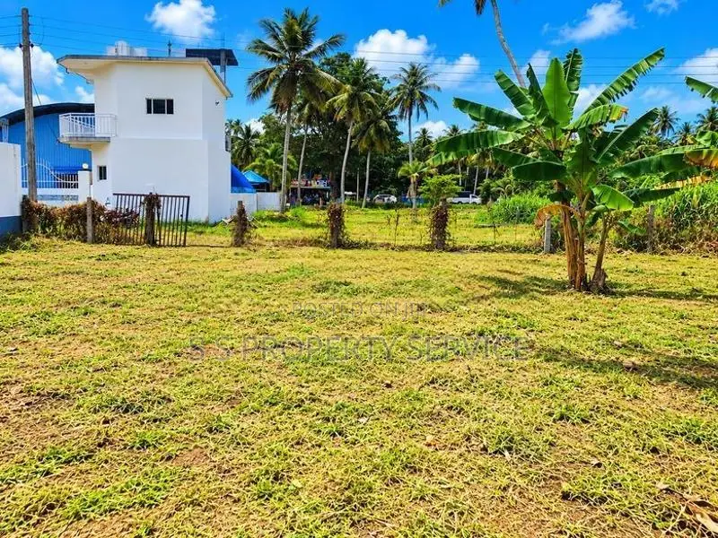 Negombo - Kuliyapitiya Road,thabbowa, Nattandiya