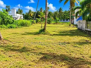 Negombo - Kuliyapitiya Road,thabbowa, Nattandiya