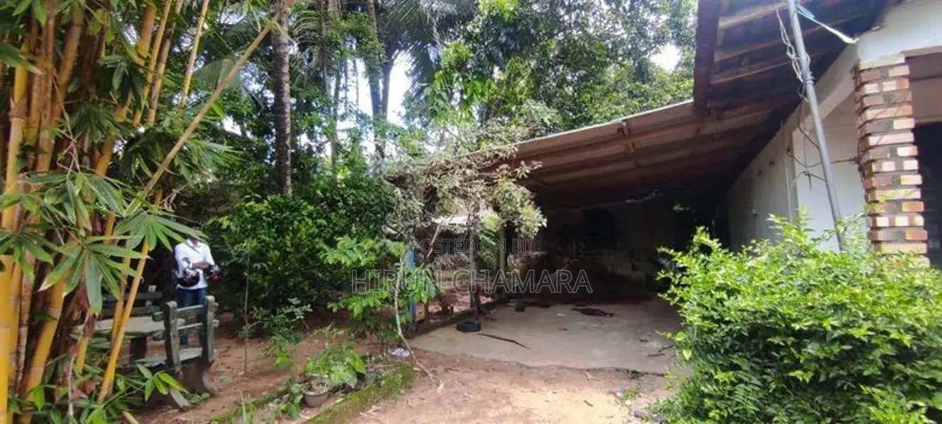 House For Sale In Wathupitiwala Nittambuwa