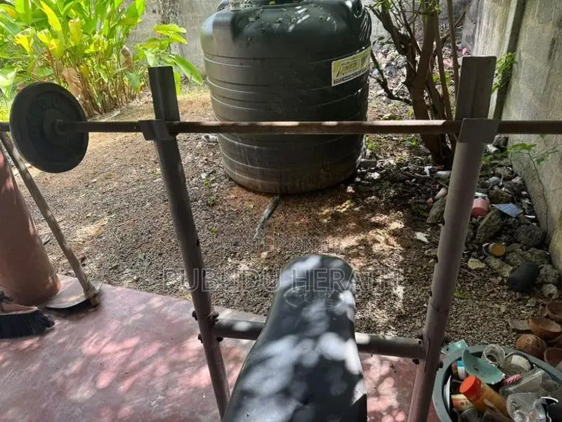 Bench , Bars Dumbel Plates
