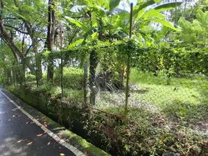 Super Land With House For Sale Colombo 6