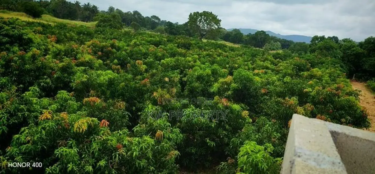 Alphonso mango state for sale in anuradapura