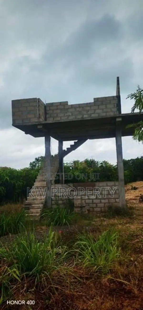 Alphonso mango state for sale in anuradapura
