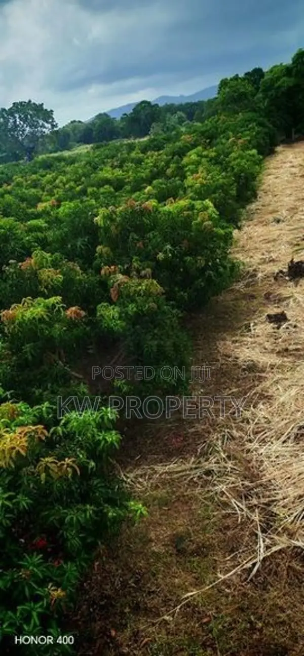 Alphonso mango state for sale in anuradapura