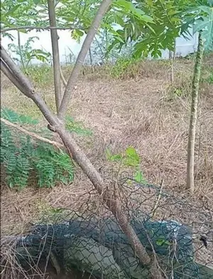 18.5 Perch Bare Land for Sale in Nugegoda – Gamshabaha CVVV –A2