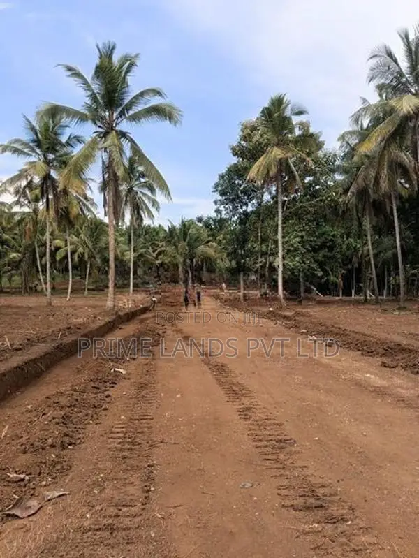Kurunegala Kandy Road Lands