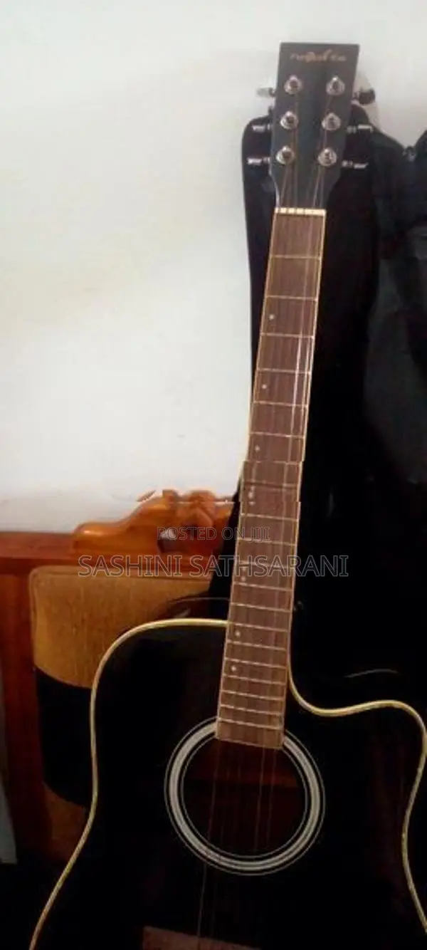 Black the Olive Tree Guitar