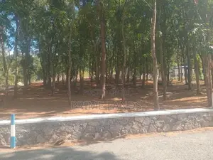 පිලියන්දල නගර සීමාවෙන් මහෝගනී වත්තක්