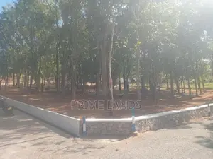 පිලියන්දල නගර සීමාවෙන් මහෝගනී වත්තක්
