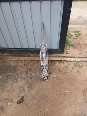Cricket