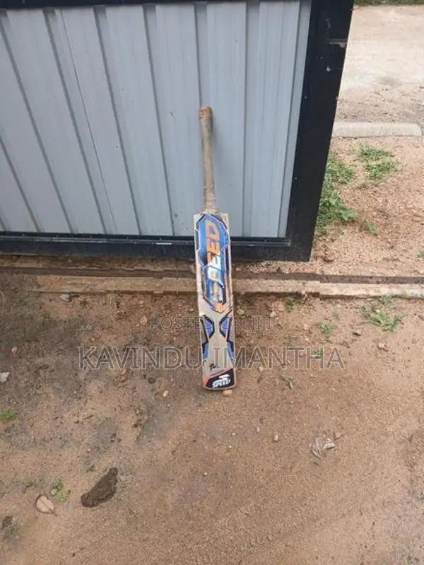 Cricket