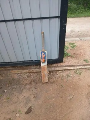 Cricket