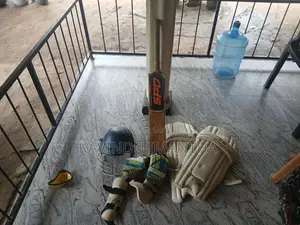 Cricket