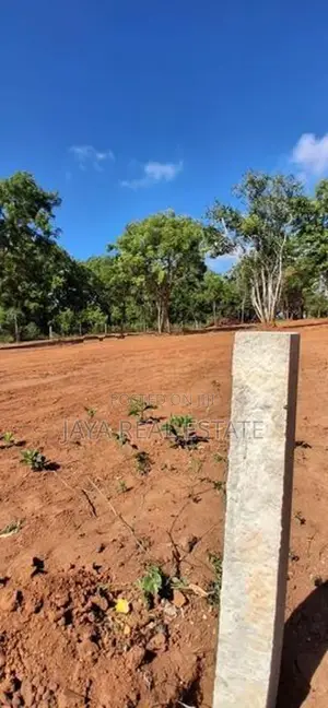 රැකවට නුදුරින් වටිනා ඉඩමක්