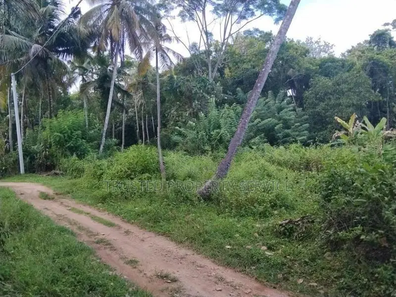 Narammala Land Sale