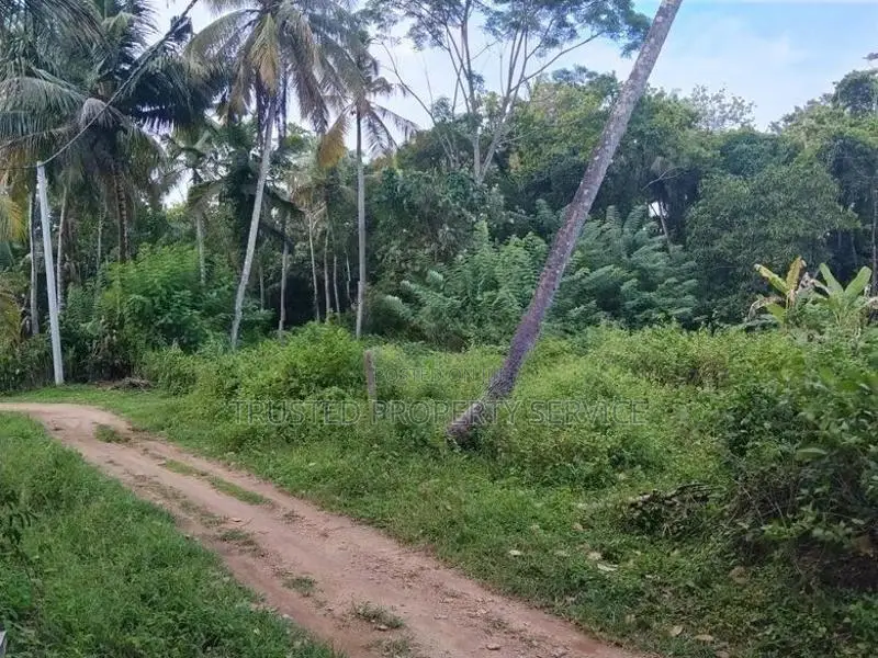 Narammala Land Sale