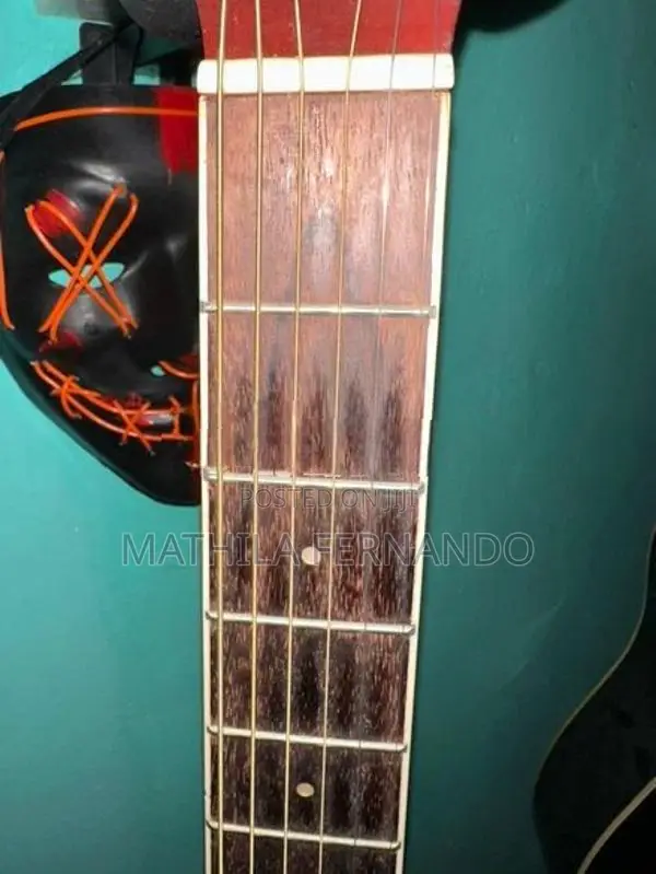 F Halen Acoustic Guitar