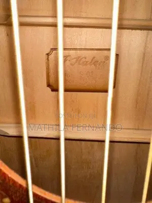 F Halen Acoustic Guitar