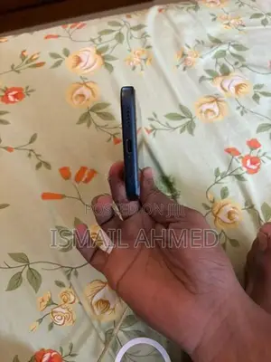 Apple iPhone 17 Pro Max (Used)