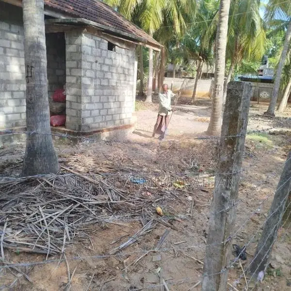 Land with Coconut Trees for Rent - Batticaloa