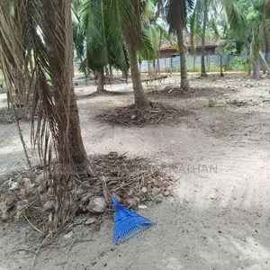 Land with Coconut Trees for Rent - Batticaloa