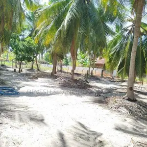 Land with Coconut Trees for Rent - Batticaloa