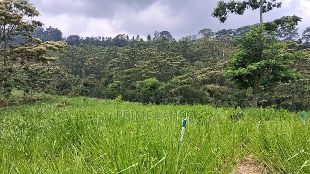 Lands for sale in Pussellawa