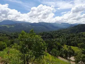 Riverston View Lands at Kaikawala