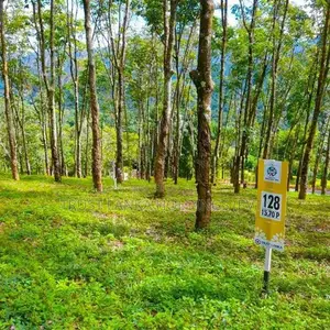 Riverston View Lands at Kaikawala