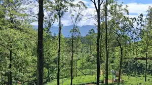 Land For Sale In Pussellawa