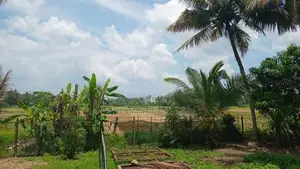 Two Storied House For Sale in Battaramulla- PDH198