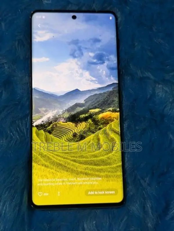 Vivo V30 Pro 5G 256GB (Used)