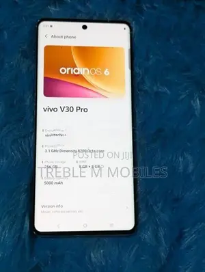 Vivo V30 Pro 5G 256GB (Used)