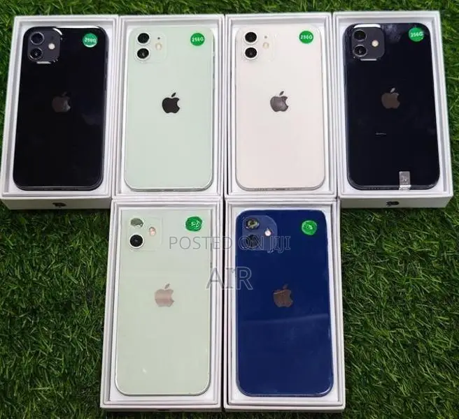 Apple iPhone 12 256GB (Used)