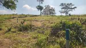 නුවරඑළිය පාරට ලගින් ඉඩමක් විකිණීමට