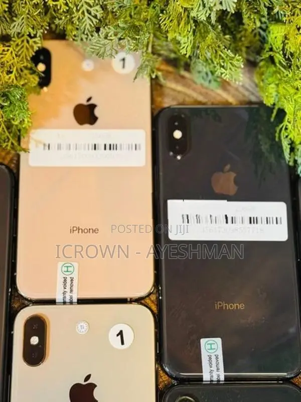 Apple iPhone XS 256GB (Used)
