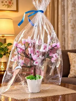 Beautiful Flowers