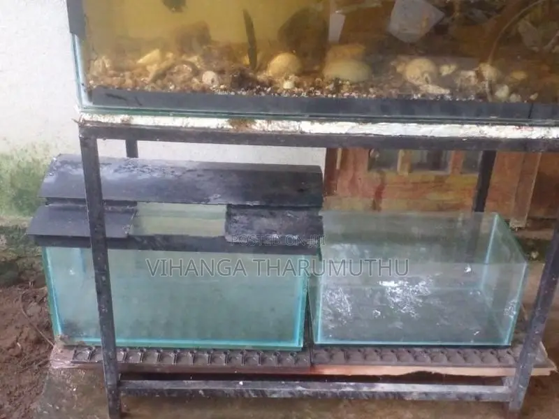 ටැන්කි 3 යි සියලු බඩුයි