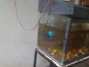ටැන්කි 3 යි සියලු බඩුයි