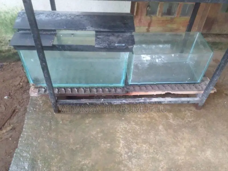 ටැන්කි 3 යි සියලු බඩුයි