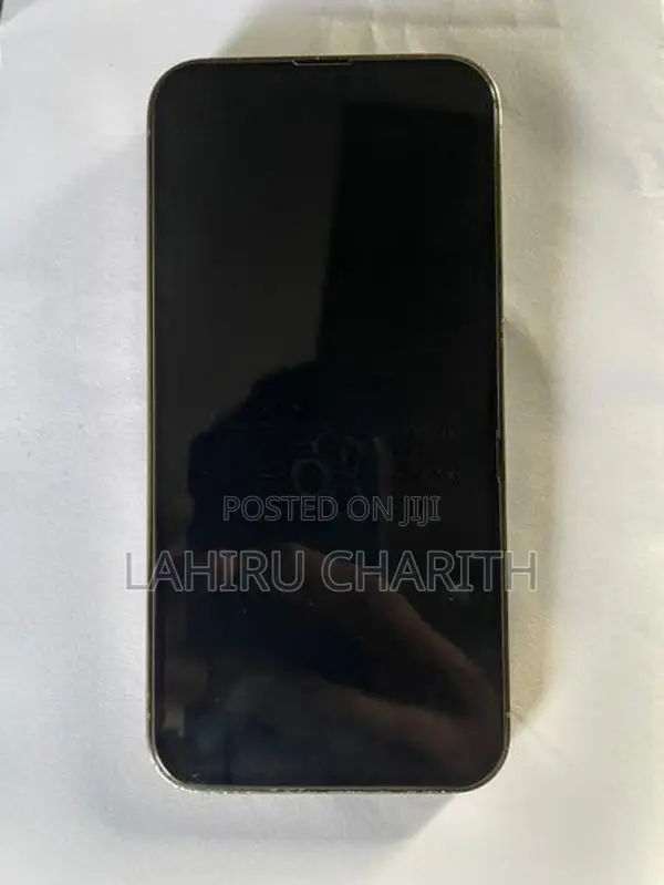 Apple iPhone 13 Pro (Used)