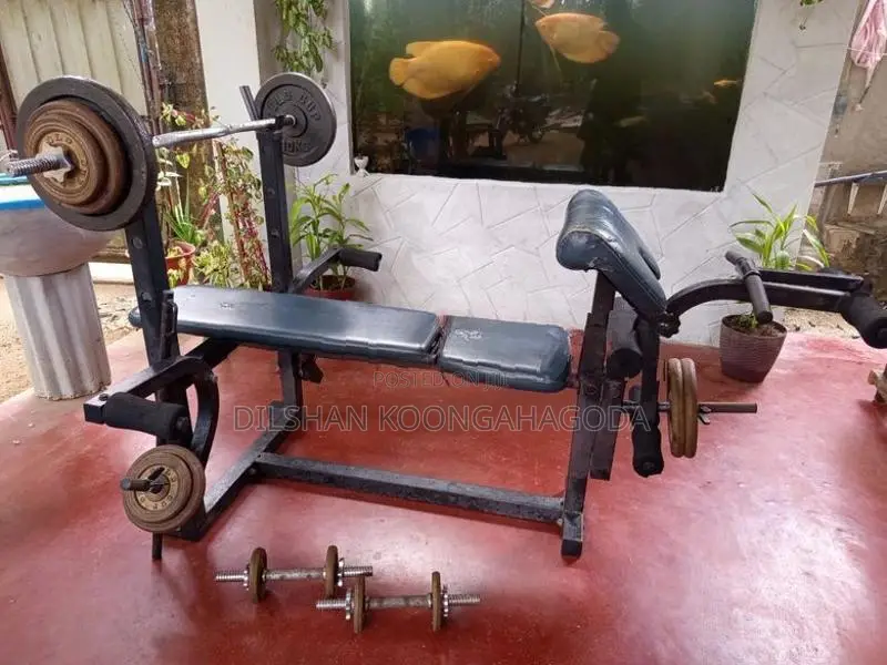 Gym Bench with 60KG Weight Plates