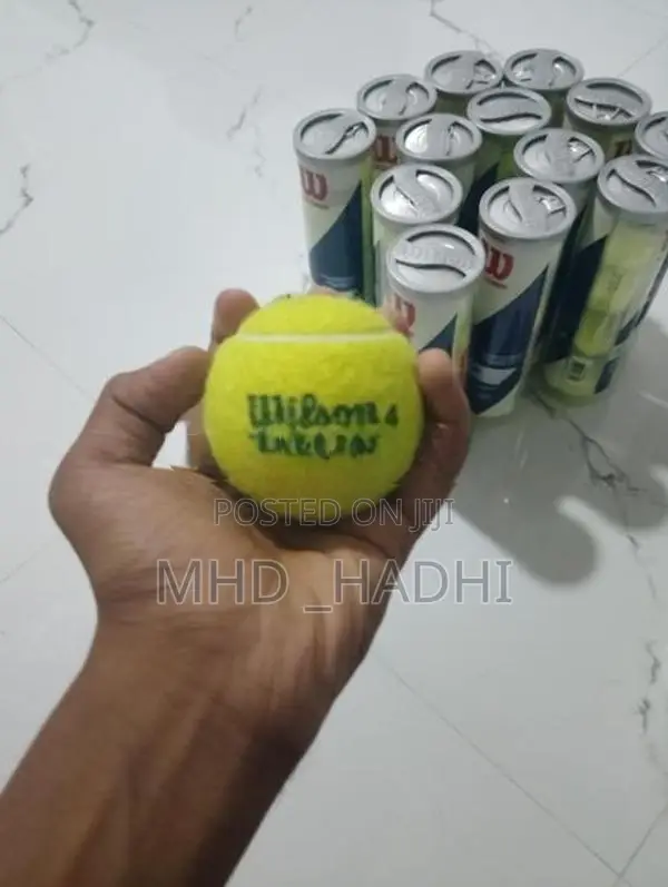 wilson4 Tour Cricket Ball