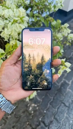 Apple iPhone 12 Pro (Used)